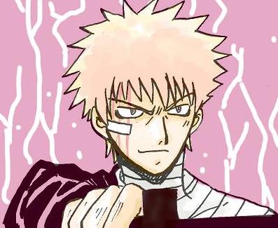 bleach top.JPG